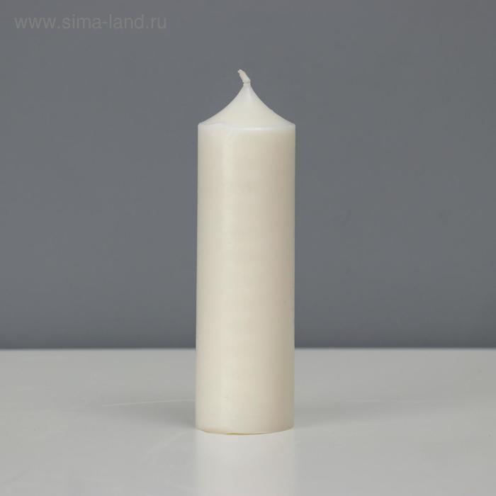 Свеча - цилиндр, 4 х 14,5 см, белая, 145 грамм
Свеча - цилиндр, 4 х 14,5 см, белая, 145 грамм