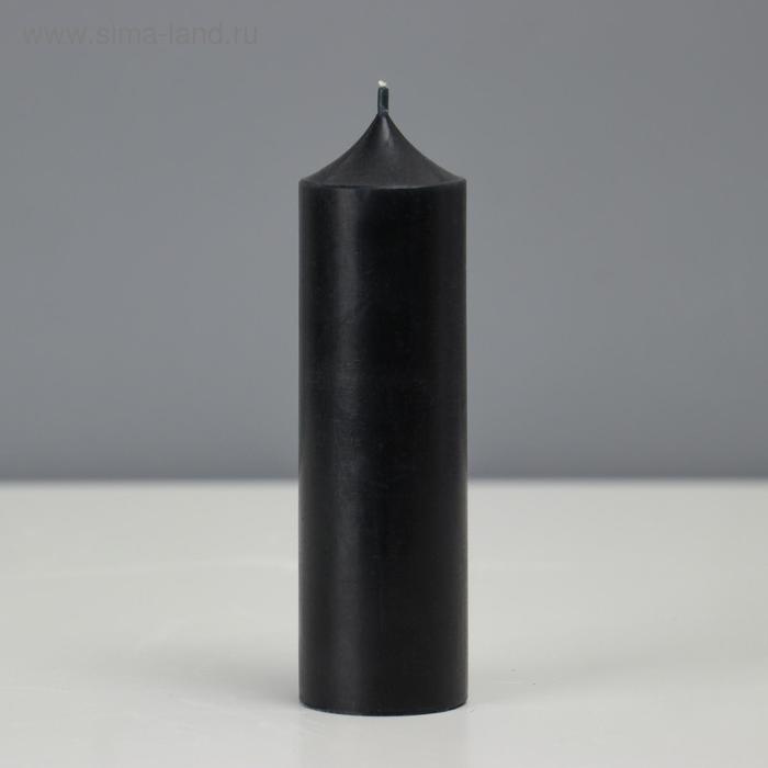 Свеча - цилиндр, 4 х 14,5 см, черная, 145 грамм
Свеча - цилиндр, 4 х 14,5 см, черная, 145 грамм