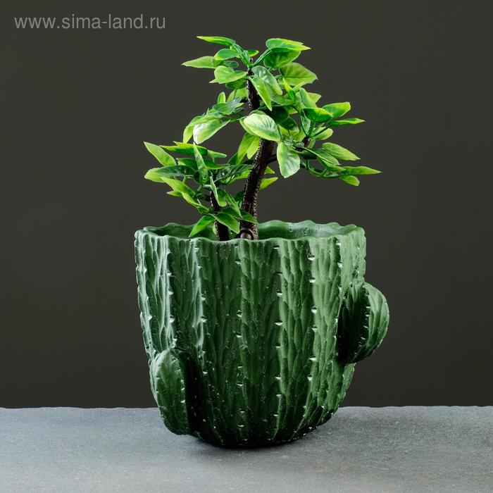 Кашпо "Кактус" 19*16см
Кашпо "Кактус" 19*16см