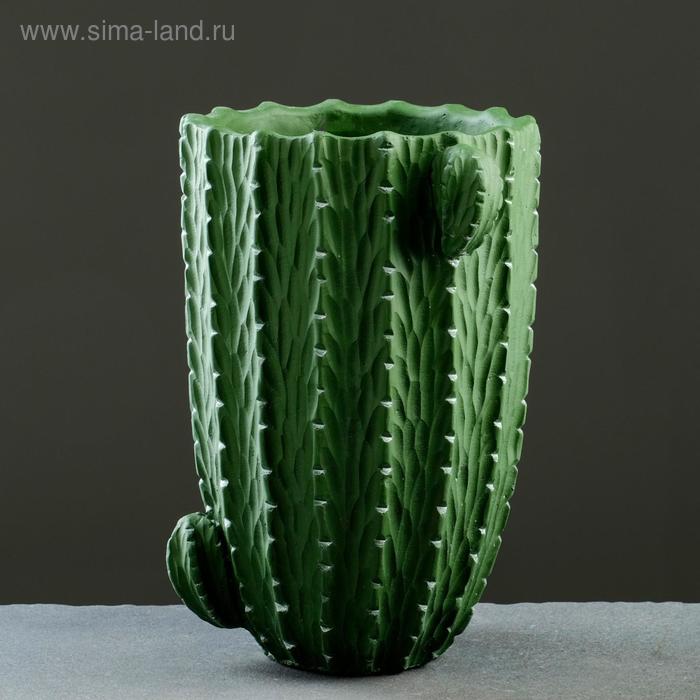 Кашпо - ваза "Кактус" 16*23см
Кашпо - ваза "Кактус" 16*23см