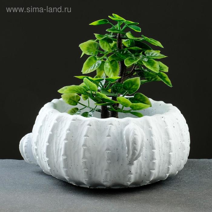 Кашпо - бонсай "Кактус" белое 19*9см
Кашпо - бонсай "Кактус" белое 19*9см