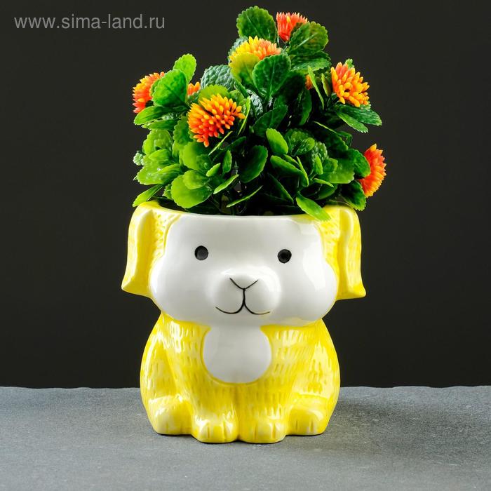 Кашпо "Щенок" 11*10см
Кашпо "Щенок" 11*10см