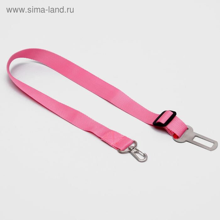 Автомобильный ремень безопасности для собак, 2,5 см, микс цветов
Автомобильный ремень безопасности для собак, 2,5 см, микс цветов