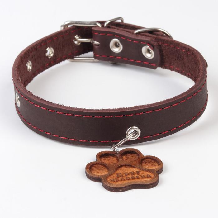 Ошейник кожаный однослойный, 33 - 53 см, 58 х 2.5 см, коричневый
Ошейник кожаный однослойный, 33 - 53 см, 58 х 2.5 см, коричневый