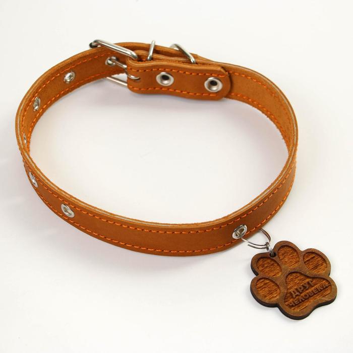Ошейник кожаный с деревянным подвесом светло-коричневый, ОШ 30-53см
Ошейник кожаный с деревянным подвесом светло-коричневый, ОШ 30-53см