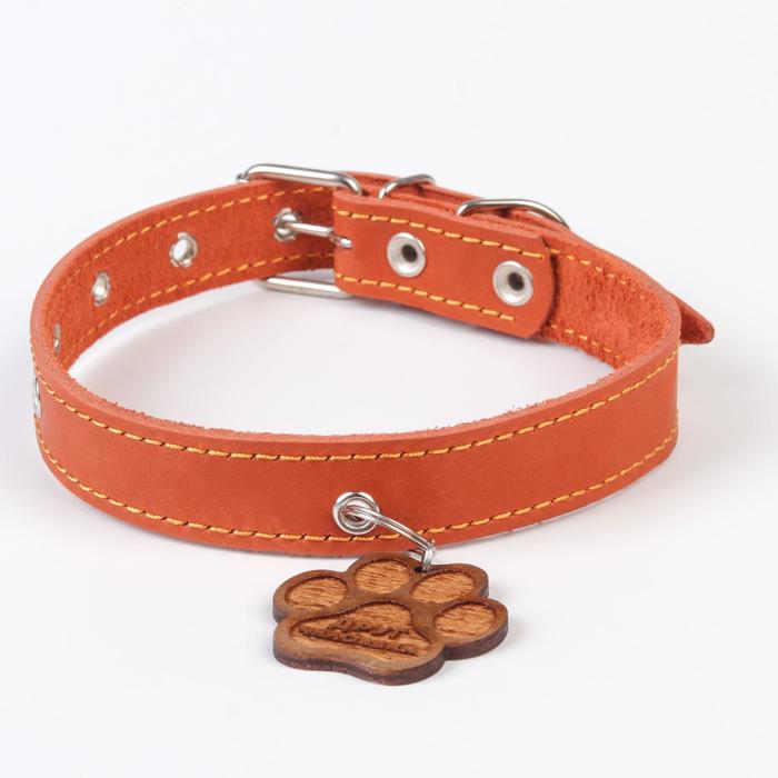 Ошейник кожаный с кожаным подвесом апельсин, ОШ 30-53см
Ошейник кожаный с кожаным подвесом апельсин, ОШ 30-53см