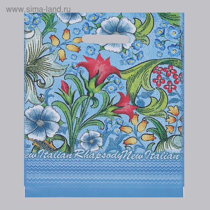 Пакет "Рапсодия", полиэтиленовый с вырубной ручкой, 31х40 см, 60 мкм 
Пакет "Рапсодия", полиэтиленовый с вырубной ручкой, 31х40 см, 60 мкм