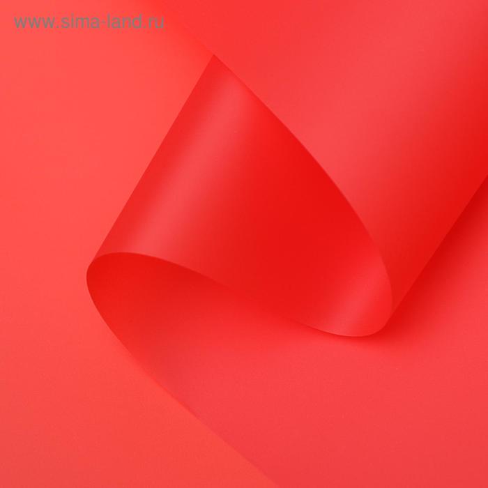 Пленка для цветов "Люкс", матовая, красная, 0,6 х 10 м, 200 г, 40 мкм
Пленка для цветов "Люкс", матовая, красная, 0,6 х 10 м, 200 г, 40 мкм