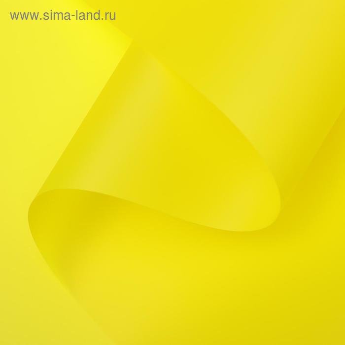 Пленка для цветов "Люкс", матовая, рапс, 0,6 х 10 м, 200 г, 40 мкм
Пленка для цветов "Люкс", матовая, рапс, 0,6 х 10 м, 200 г, 40 мкм