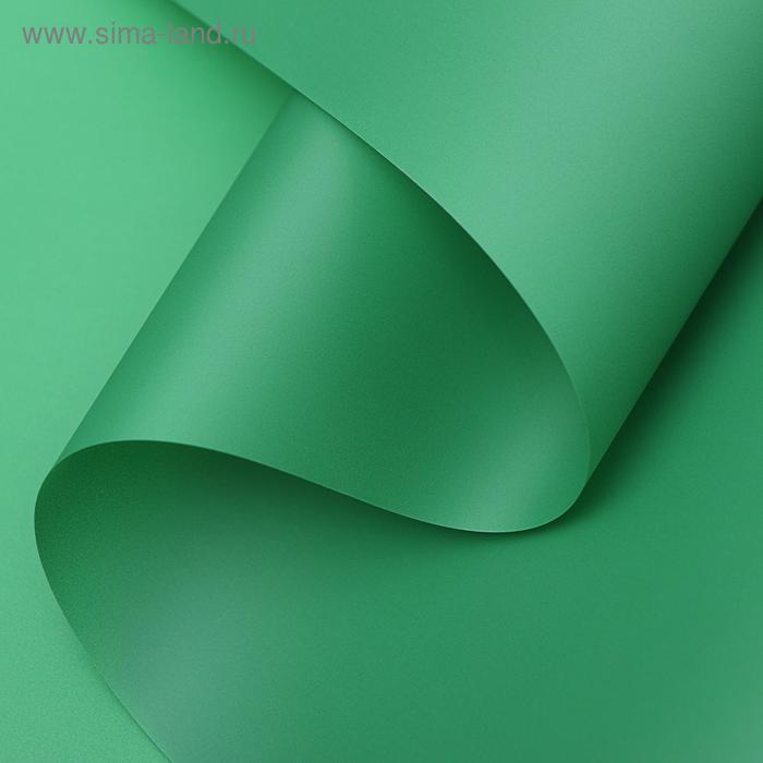 Пленка для цветов "Люкс", матовая, травяная, 0,6 х 10 м, 200 г, 40 мкм
Пленка для цветов "Люкс", матовая, травяная, 0,6 х 10 м, 200 г, 40 мкм