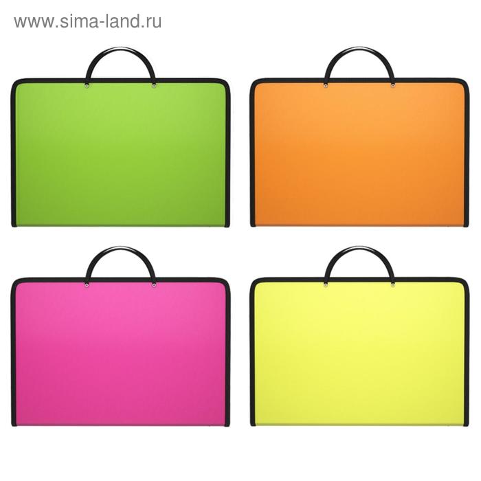 Папка с ручками А4, ErichKrause Diagonal Neon, 30 мм, 500 мкм, пластик, на молнии, микс
Папка с ручками А4, ErichKrause Diagonal Neon, 30 мм, 500 мкм, пластик, на молнии, микс