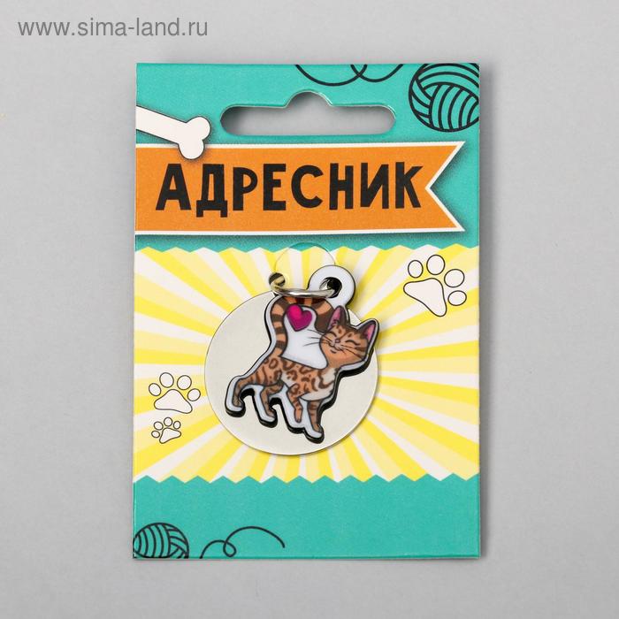 Адресник под гравировку + подвес акрил «Бенгальская кошка», 3х3 см 
Адресник под гравировку + подвес акрил «Бенгальская кошка», 3х3 см