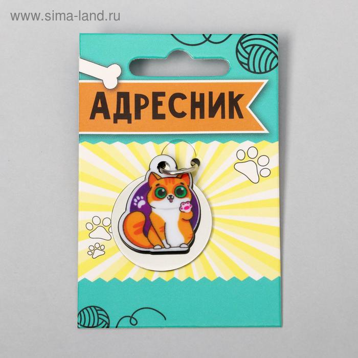 Адресник под гравировку + подвес акрил «Рыжий кот», 3х3 см
Адресник под гравировку + подвес акрил «Рыжий кот», 3х3 см