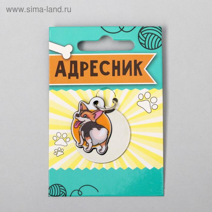 Адресник под гравировку + подвес акрил «Корги», 3х3 см
Адресник под гравировку + подвес акрил «Корги», 3х3 см