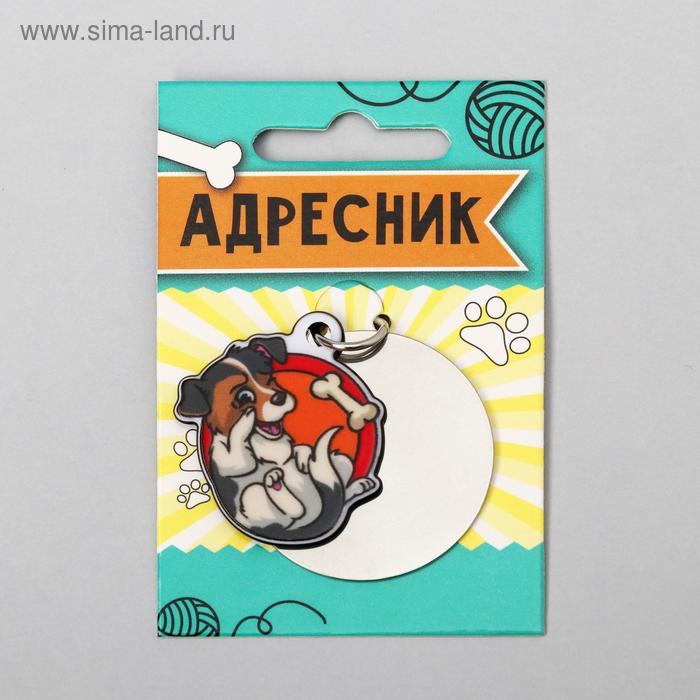 Адресник под гравировку + подвес акрил «Малыш», 4х4 см
Адресник под гравировку + подвес акрил «Малыш», 4х4 см