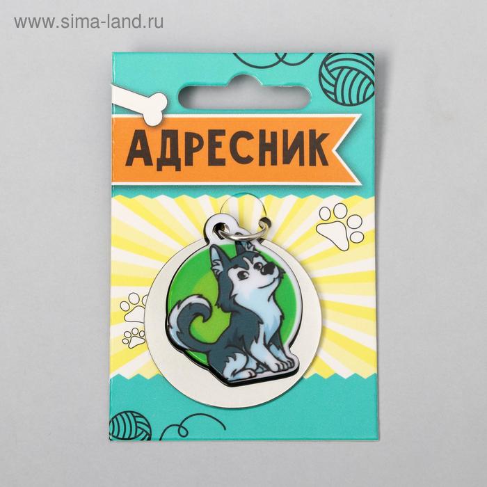 Адресник под гравировку + подвес акрил «Хаски», 4х4 см
Адресник под гравировку + подвес акрил «Хаски», 4х4 см