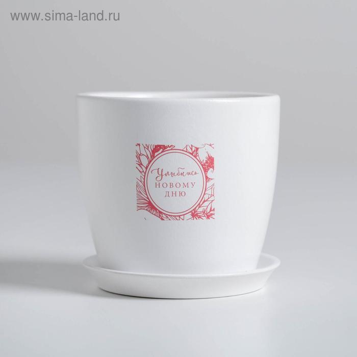 Горшок для цветов "Улыбнисьl", 10 х 10 см, 0.5 л, глянец
Горшок для цветов "Улыбнисьl", 10 х 10 см, 0.5 л, глянец