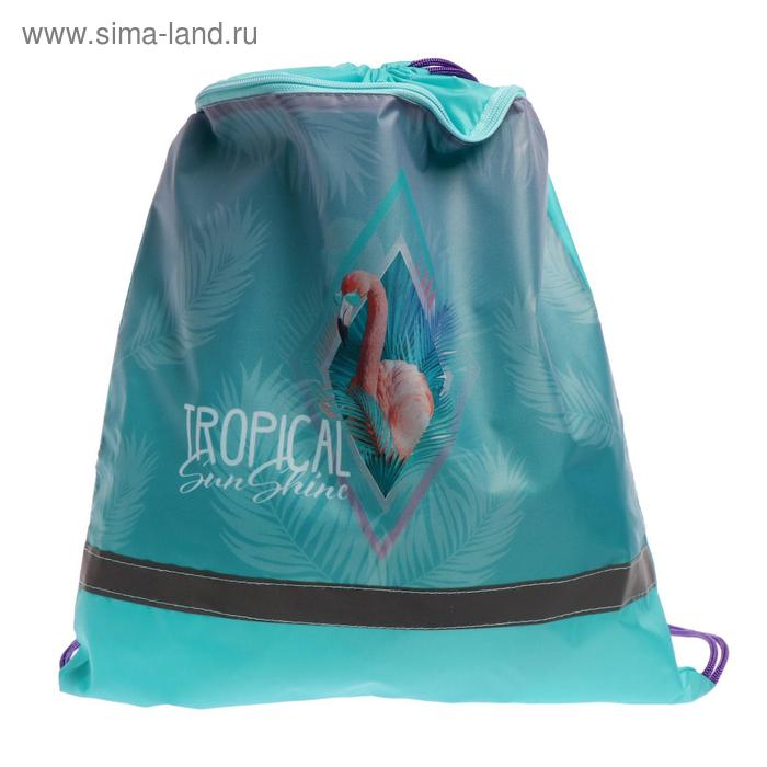 Мешок для обуви с карманом на молнии, 415 х 340 мм, светоотражающая полоса, «Фламинго в очках»
Мешок для обуви с карманом на молнии, 415 х 340 мм, светоотражающая полоса, «Фламинго в очках»