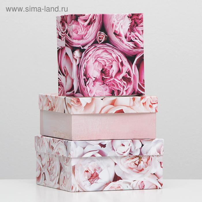 Набор коробок 3 в 1 "Букет пионов", 19 х 19 х 9,5 - 15,5 х 15,5 х 6,5 см
Набор коробок 3 в 1 "Букет пионов", 19 х 19 х 9,5 - 15,5 х 15,5 х 6,5 см