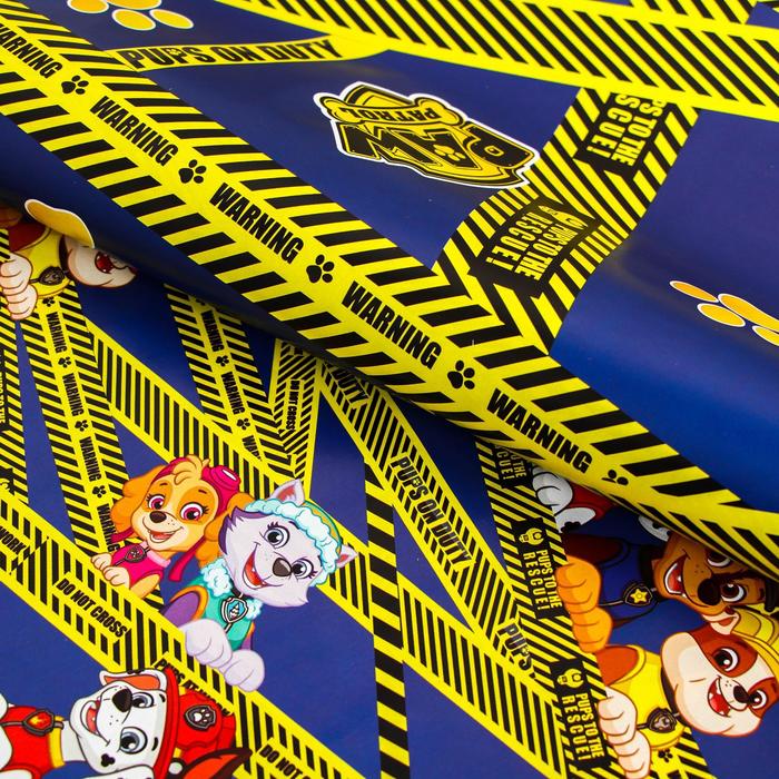 Бумага упаковочная глянцевая двусторонняя , Щенячий патруль, 60x90 см
Бумага упаковочная глянцевая двусторонняя , Щенячий патруль, 60x90 см