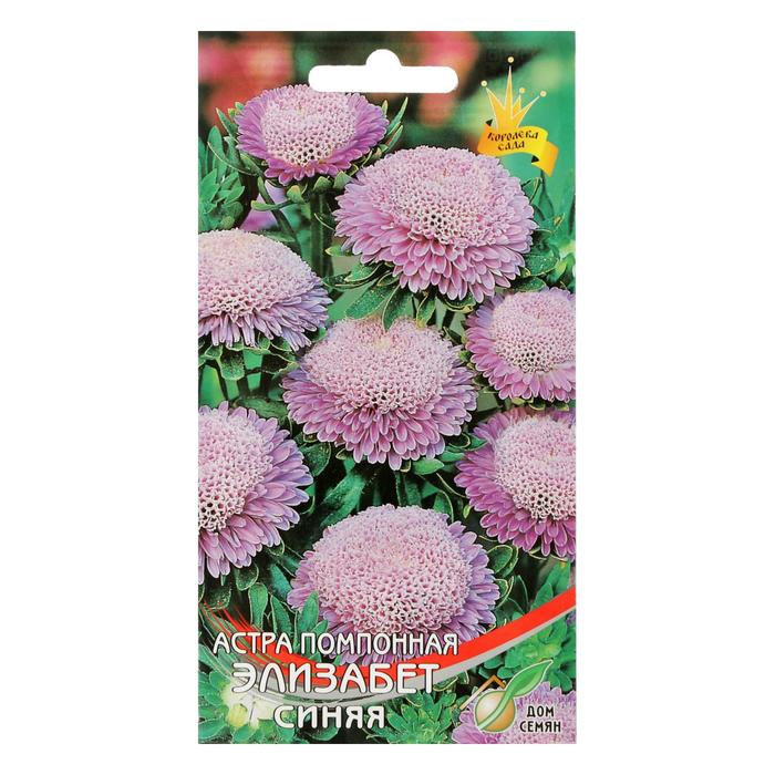 Семена цветов Астра Элизабет синяя 105 шт
Семена цветов Астра Элизабет синяя 105 шт