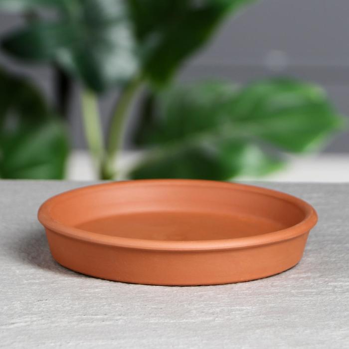 Поддон для цветочного горшка, d=14.5 см, красная глина
Поддон для цветочного горшка, d=14.5 см, красная глина