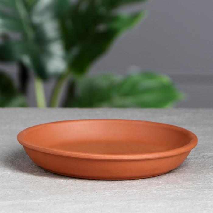 Поддон для цветочного горшка, d=17 см, красная глина
Поддон для цветочного горшка, d=17 см, красная глина