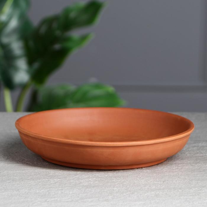 Поддон для цветочного горшка, d=21 см, красная глина
Поддон для цветочного горшка, d=21 см, красная глина