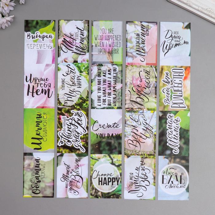 Набор полос для декорирования "Magnolia in bloom" 5 шт, 5х30,5 см
Набор полос для декорирования "Magnolia in bloom" 5 шт, 5х30,5 см