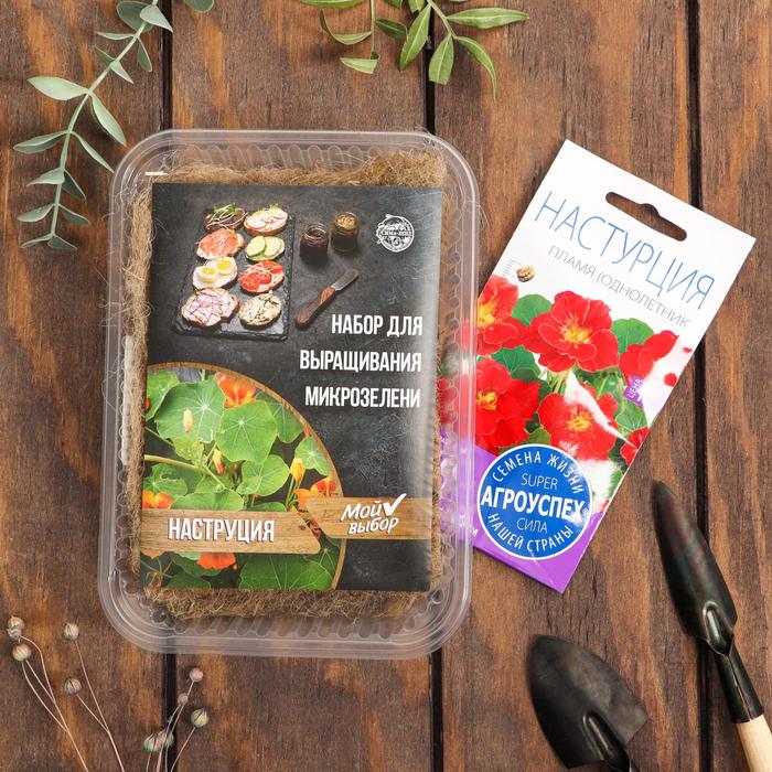 Набор для выращивания на балконе микрозелени Настурция
Набор для выращивания на балконе микрозелени Настурция