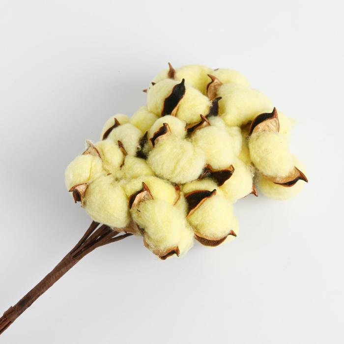 Букет из хлопка «Первые лучи» 
Букет из хлопка «Первые лучи»