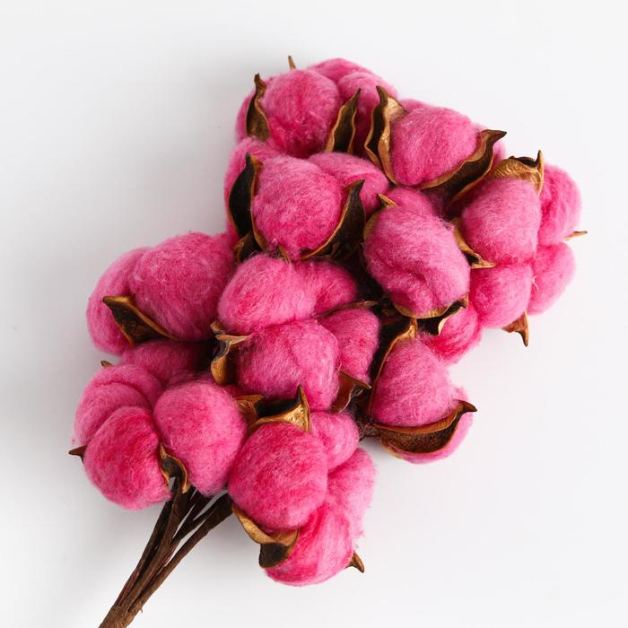 Букет из хлопка «Румяный рассвет»
Букет из хлопка «Румяный рассвет»