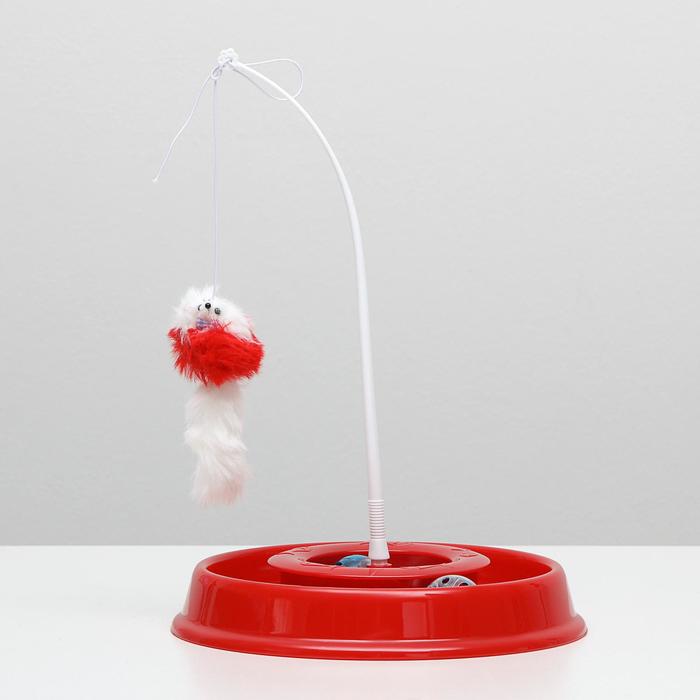 Игровой комплекс для кошек "Весёлая рыбалка", 27,5 х 4,5 см, красный
Игровой комплекс для кошек "Весёлая рыбалка", 27,5 х 4,5 см, красный