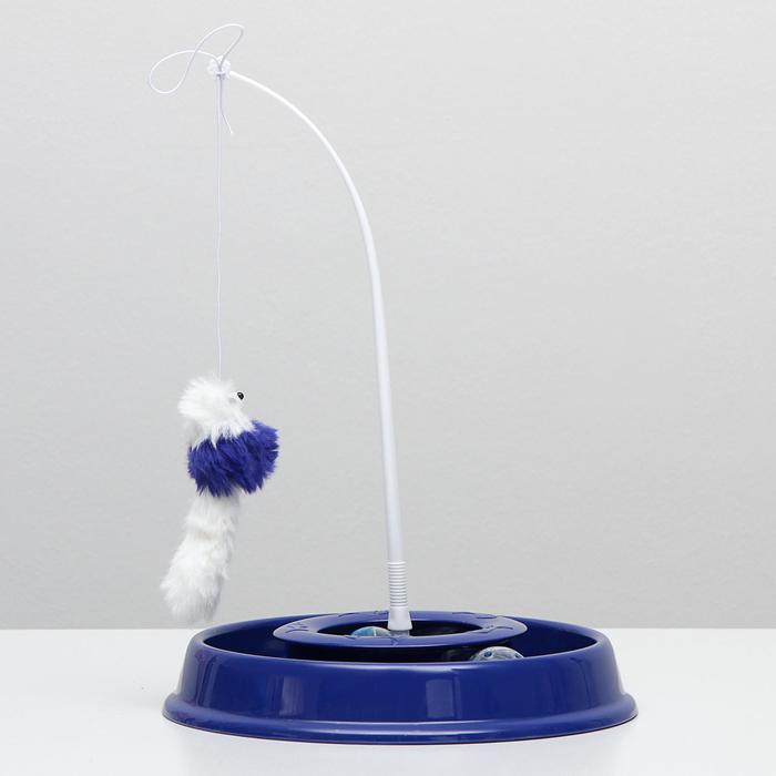 Игровой комплекс для кошек "Весёлая рыбалка", 27,5 х 4,5 см, синий
Игровой комплекс для кошек "Весёлая рыбалка", 27,5 х 4,5 см, синий