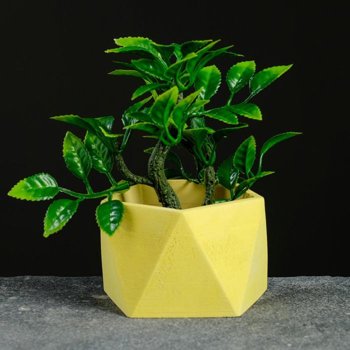 Кашпо Пятиугольник 9 х 6 см желтый
Кашпо Пятиугольник 9 х 6 см желтый