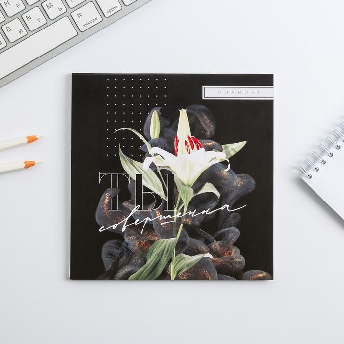 Планер квадратный "Ты совершенна"
Планер квадратный "Ты совершенна"