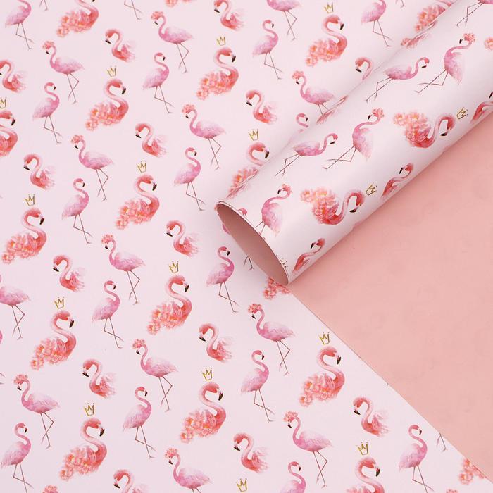 Бумага глянцевая двусторонняя "Фламинго", 50 х 70 см 
Бумага глянцевая двусторонняя "Фламинго", 50 х 70 см