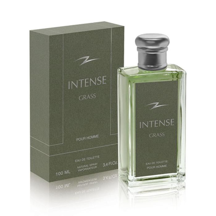 Туалетная вода Intense Grass, 100 мл
Туалетная вода Intense Grass, 100 мл