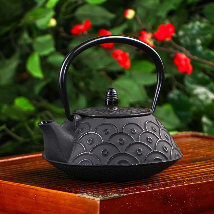 фото Чайник «джана», 650 мл, с ситом, цвет чёрный