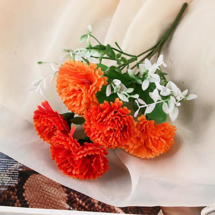 Букет "Яркая гвоздика" 28 см, микс
Букет "Яркая гвоздика" 28 см, микс