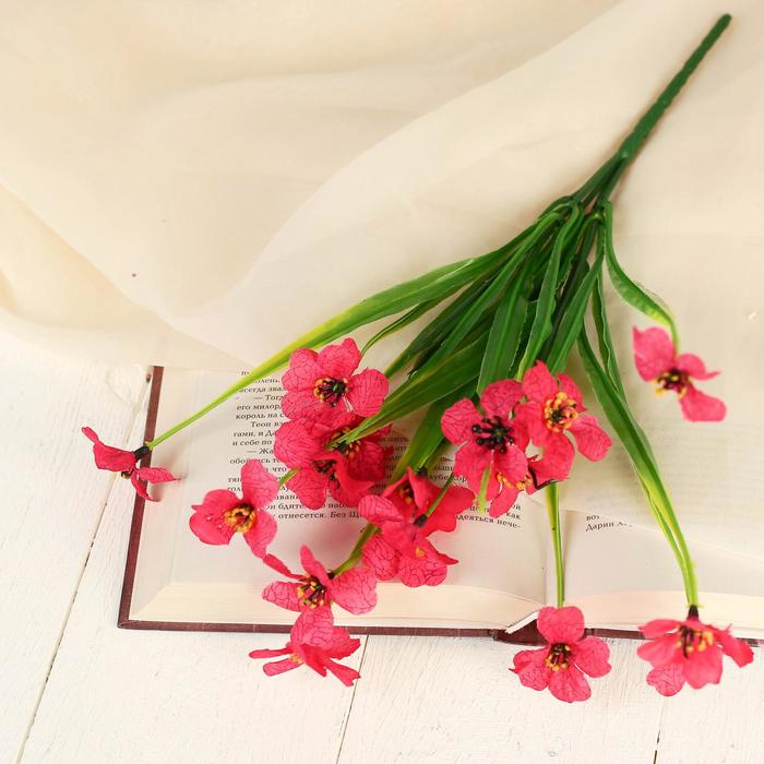 Букет "Гвоздика турецкая" 28 см, микс
Букет "Гвоздика турецкая" 28 см, микс