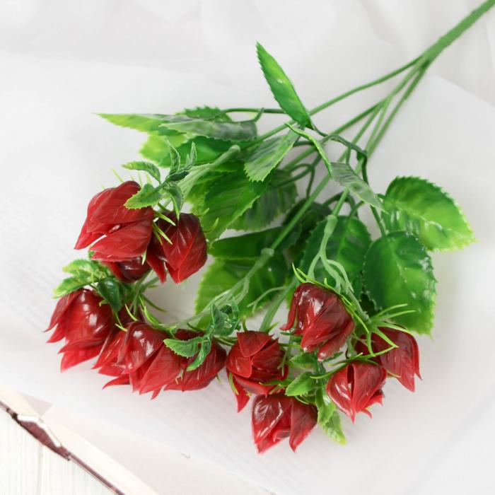 Букет "Яркий физалис" 30 см, микс
Букет "Яркий физалис" 30 см, микс