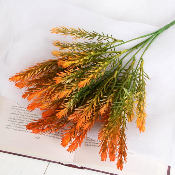 Букет "Таксодиум" 30 см, микс
Букет "Таксодиум" 30 см, микс