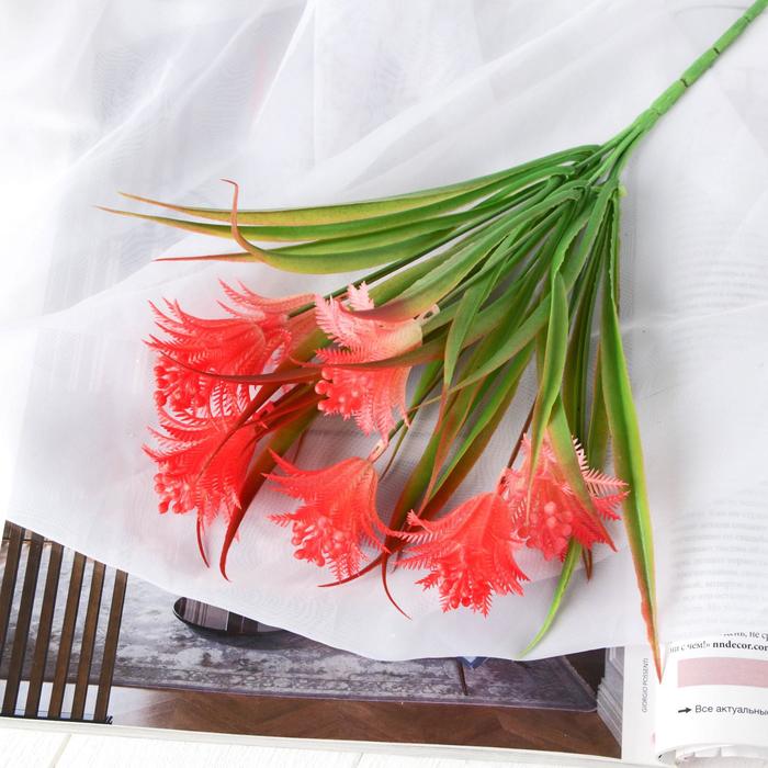 Букет "Альбиция" 30 см, микс
Букет "Альбиция" 30 см, микс