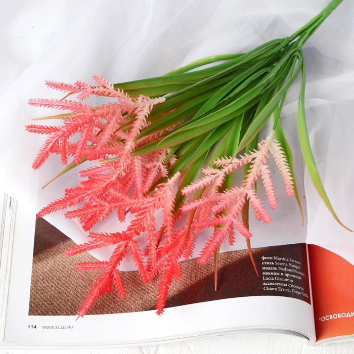 Букет "Яркие колючки" 40 см, микс
Букет "Яркие колючки" 40 см, микс