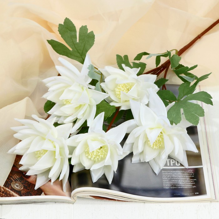 Цветы искусственные "Глобулярия" 10х65 см, белый
Цветы искусственные "Глобулярия" 10х65 см, белый