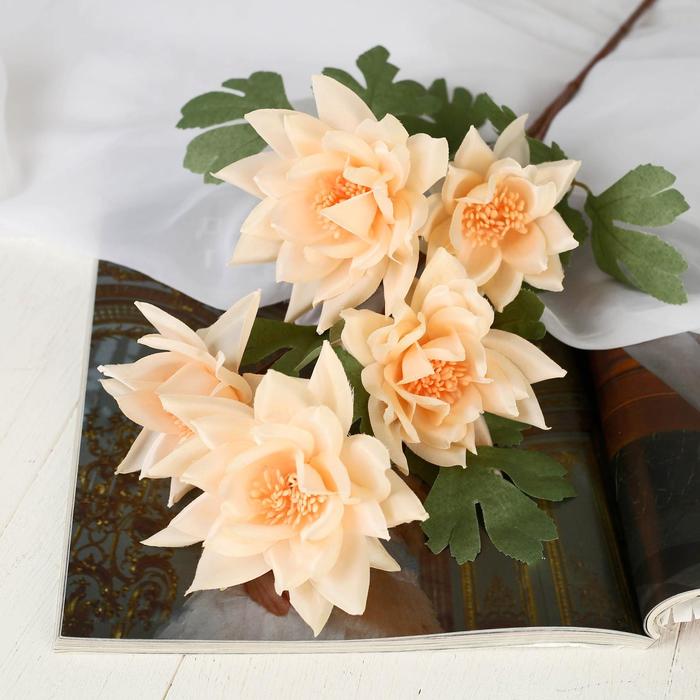 Цветы искусственные "Астра махровая" 10х65 см, кремовый 
Цветы искусственные "Астра махровая" 10х65 см, кремовый