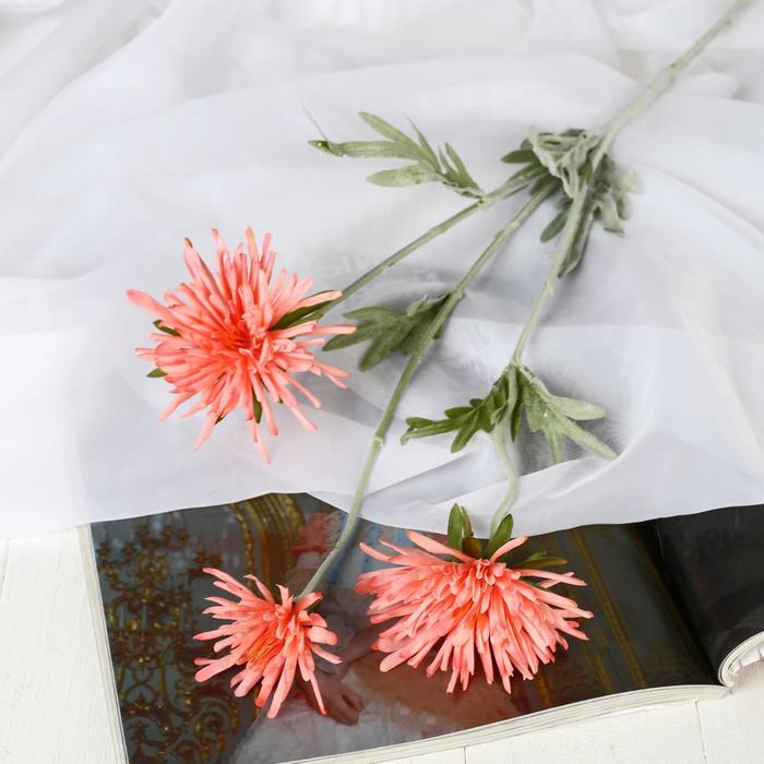 Цветы искусственные "Глобулярия" 9х70 см, розовый
Цветы искусственные "Глобулярия" 9х70 см, розовый