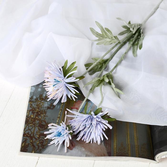 Цветы искусственные "Глобулярия" 9х70 см, голубой
Цветы искусственные "Глобулярия" 9х70 см, голубой