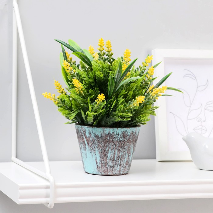 Бонсай в горшке "Крассула" 10х20 см, микс
Бонсай в горшке "Крассула" 10х20 см, микс